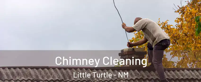 Chimney Cleaning Little Turtle - NM
