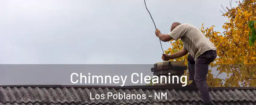 Chimney Cleaning Los Poblanos - NM