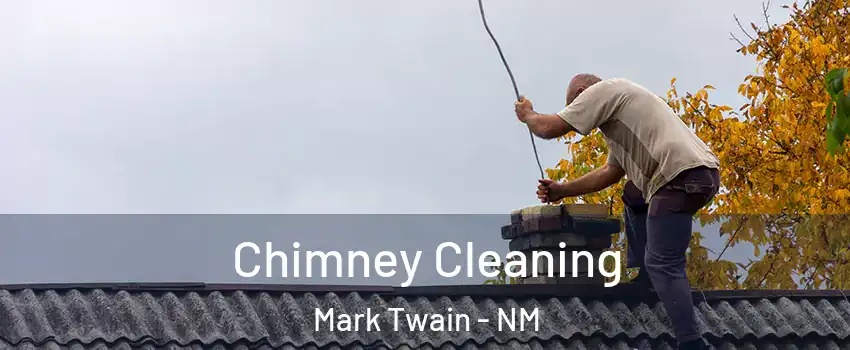 Chimney Cleaning Mark Twain - NM