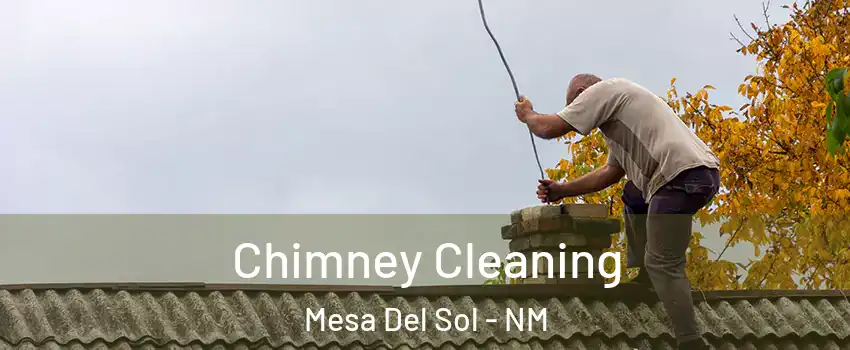 Chimney Cleaning Mesa Del Sol - NM