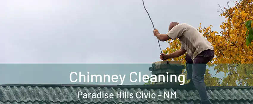 Chimney Cleaning Paradise Hills Civic - NM