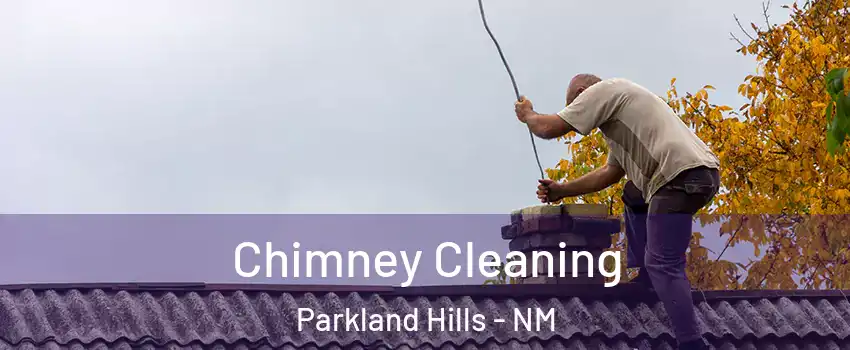Chimney Cleaning Parkland Hills - NM