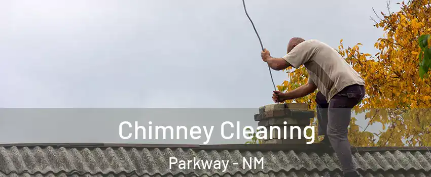 Chimney Cleaning Parkway - NM