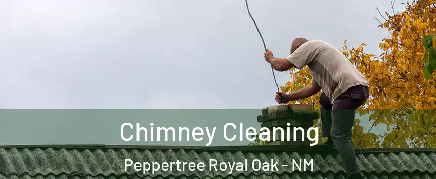 Chimney Cleaning Peppertree Royal Oak - NM