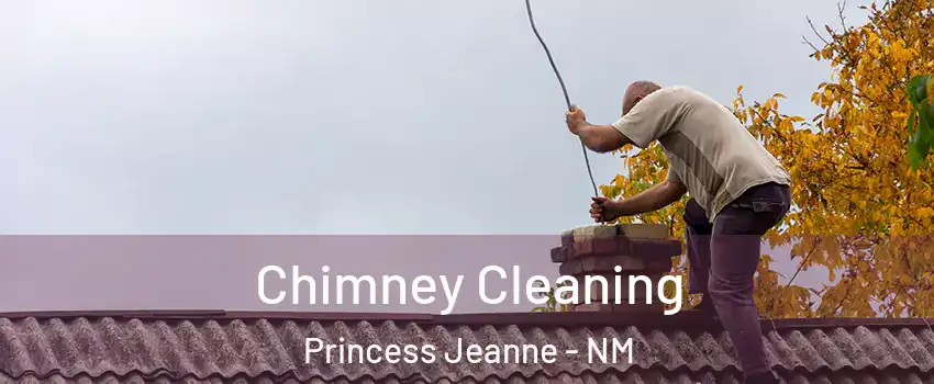 Chimney Cleaning Princess Jeanne - NM