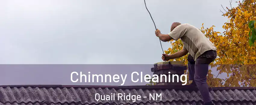Chimney Cleaning Quail Ridge - NM