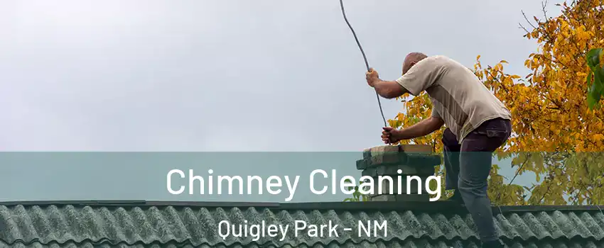 Chimney Cleaning Quigley Park - NM