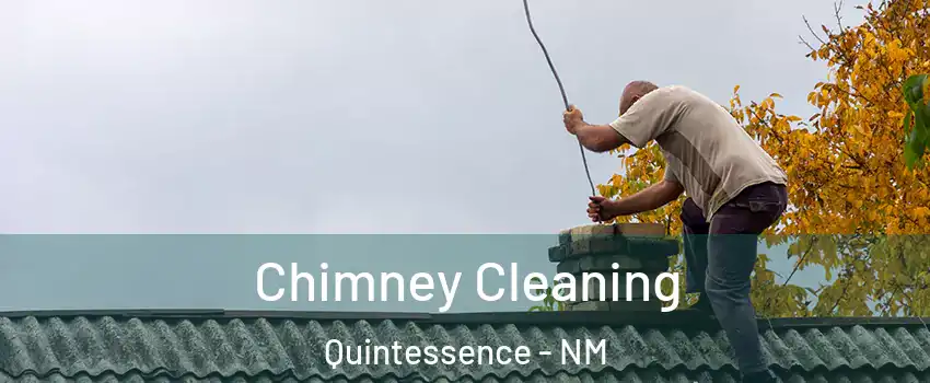 Chimney Cleaning Quintessence - NM
