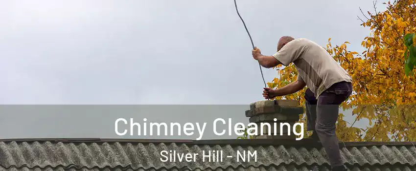 Chimney Cleaning Silver Hill - NM