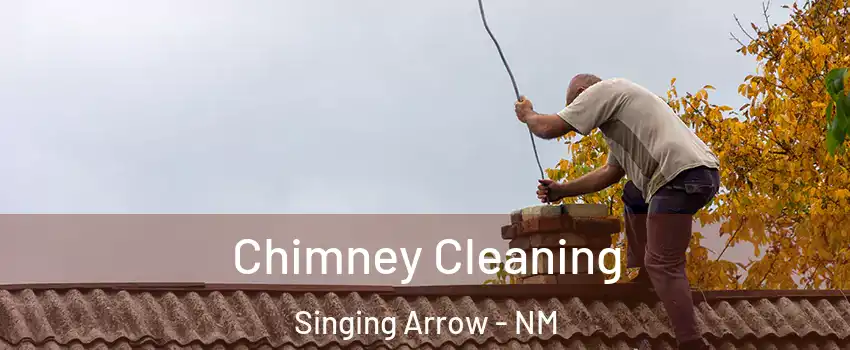 Chimney Cleaning Singing Arrow - NM