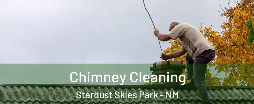 Chimney Cleaning Stardust Skies Park - NM