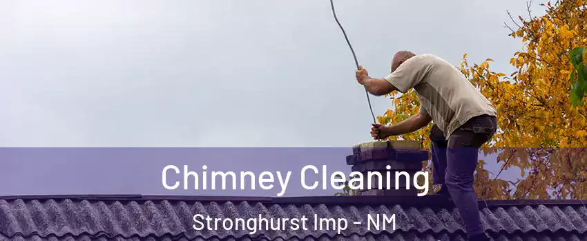 Chimney Cleaning Stronghurst Imp - NM