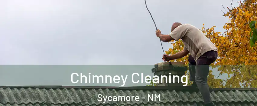 Chimney Cleaning Sycamore - NM