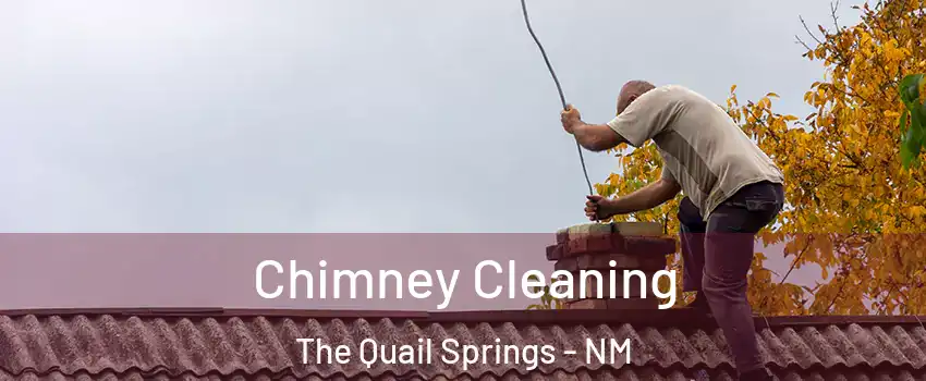 Chimney Cleaning The Quail Springs - NM