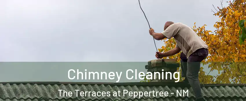 Chimney Cleaning The Terraces at Peppertree - NM