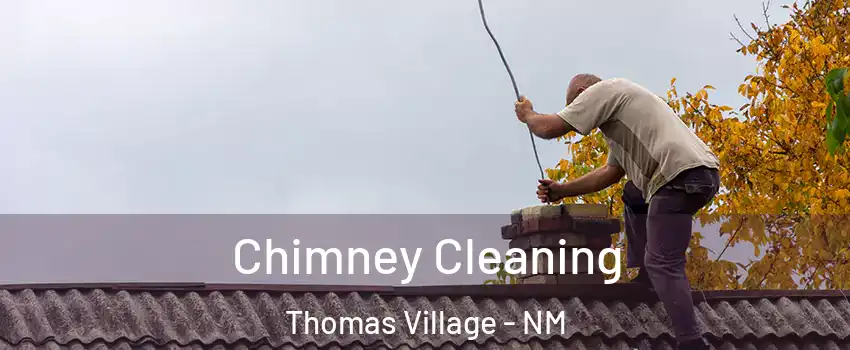 Chimney Cleaning Thomas Village - NM