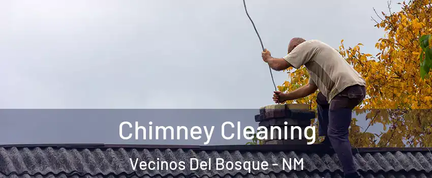 Chimney Cleaning Vecinos Del Bosque - NM
