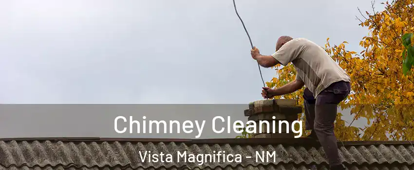 Chimney Cleaning Vista Magnifica - NM