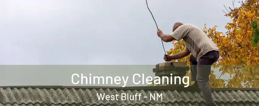 Chimney Cleaning West Bluff - NM