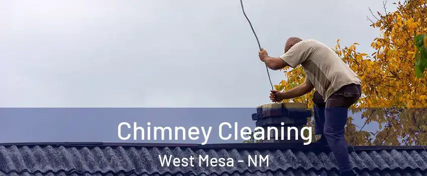Chimney Cleaning West Mesa - NM