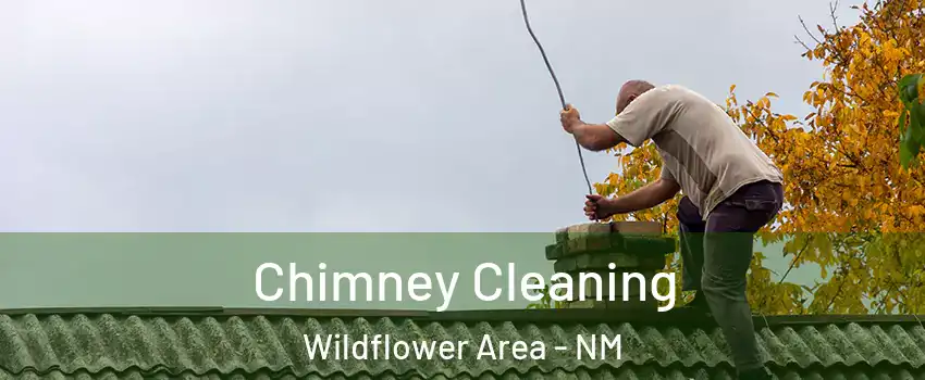 Chimney Cleaning Wildflower Area - NM