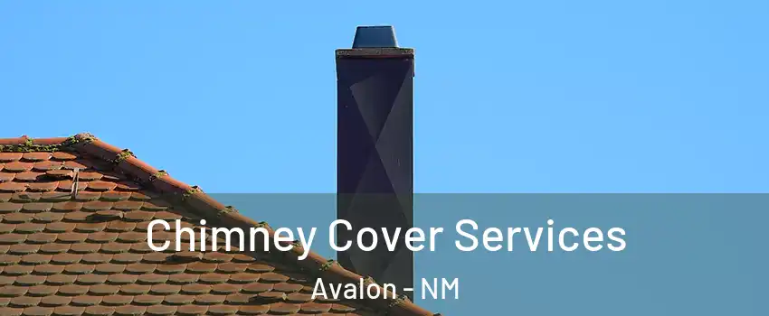 Chimney Cover Services Avalon - NM