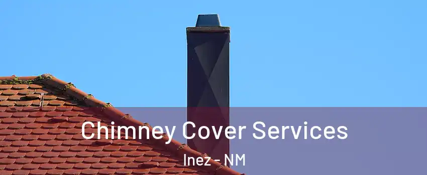 Chimney Cover Services Inez - NM