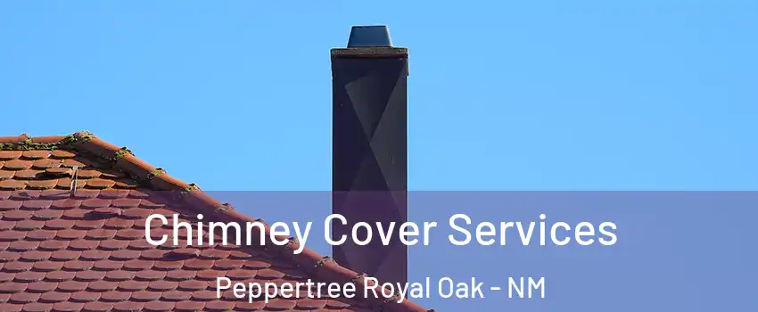 Chimney Cover Services Peppertree Royal Oak - NM