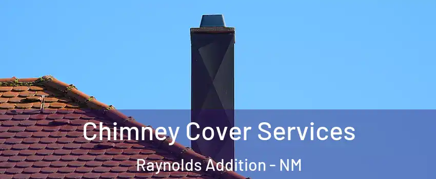 Chimney Cover Services Raynolds Addition - NM