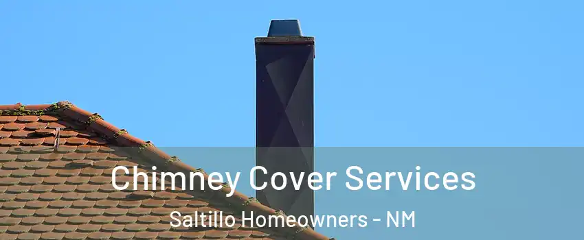 Chimney Cover Services Saltillo Homeowners - NM