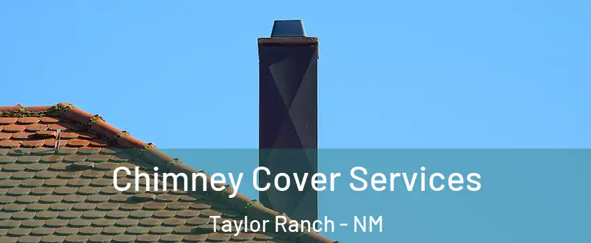 Chimney Cover Services Taylor Ranch - NM