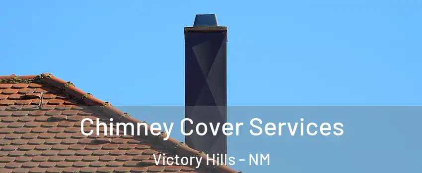 Chimney Cover Services Victory Hills - NM