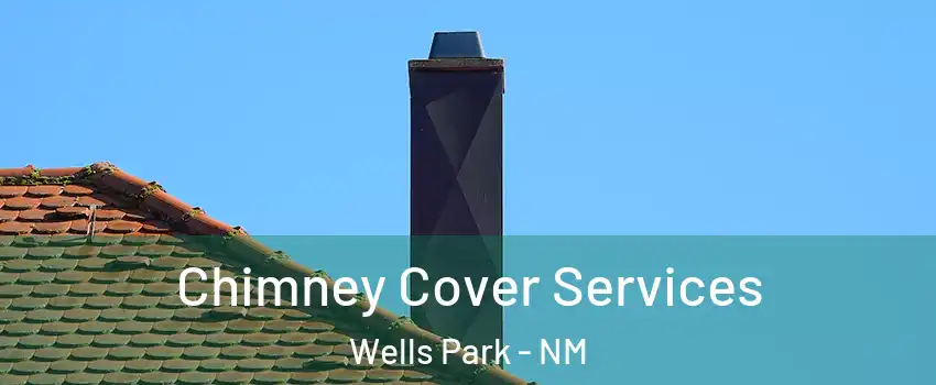 Chimney Cover Services Wells Park - NM