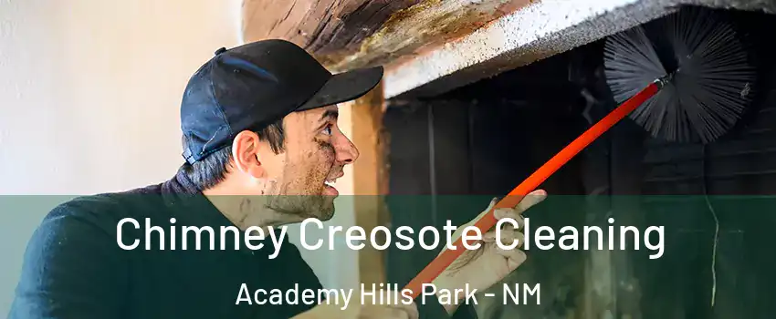 Chimney Creosote Cleaning Academy Hills Park - NM