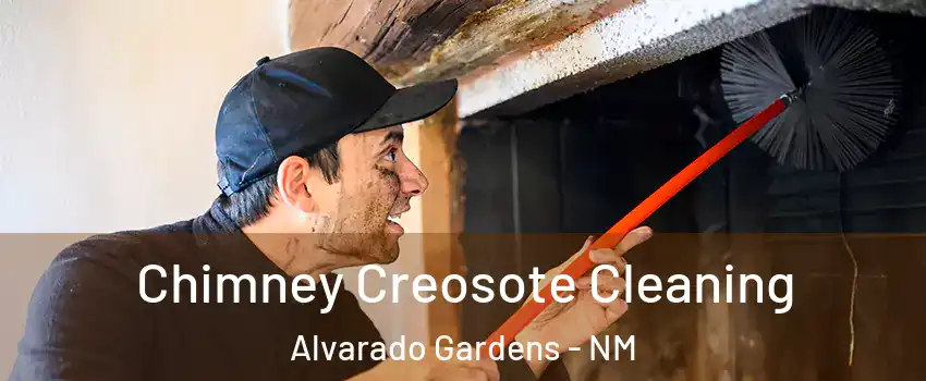 Chimney Creosote Cleaning Alvarado Gardens - NM