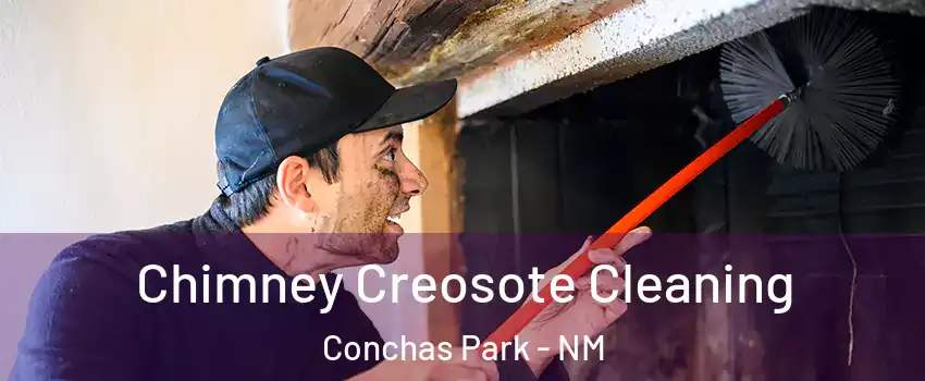 Chimney Creosote Cleaning Conchas Park - NM