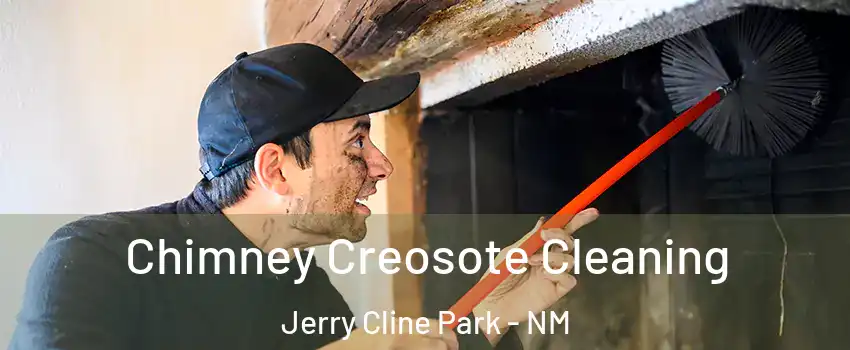 Chimney Creosote Cleaning Jerry Cline Park - NM