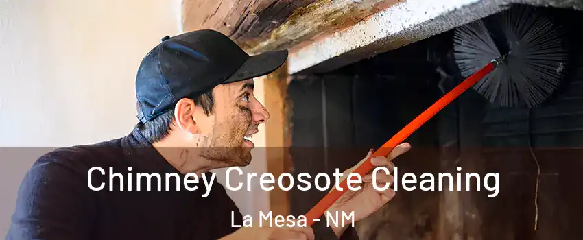 Chimney Creosote Cleaning La Mesa - NM