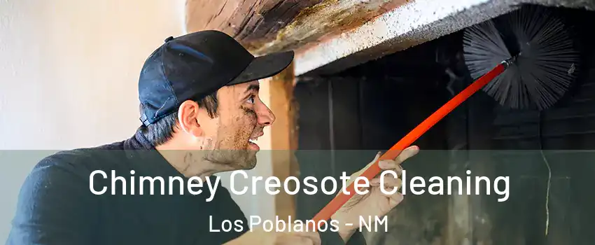 Chimney Creosote Cleaning Los Poblanos - NM