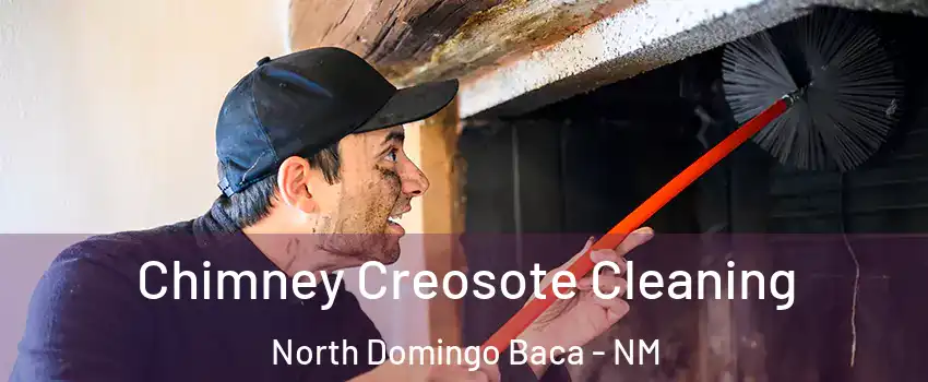 Chimney Creosote Cleaning North Domingo Baca - NM