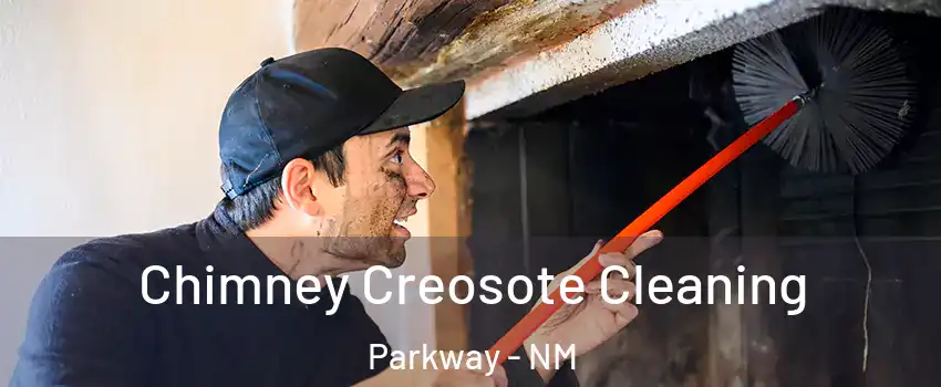 Chimney Creosote Cleaning Parkway - NM