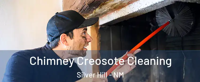 Chimney Creosote Cleaning Silver Hill - NM
