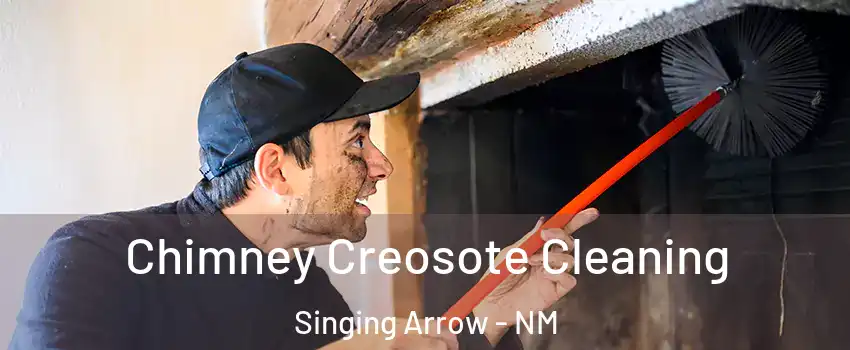 Chimney Creosote Cleaning Singing Arrow - NM