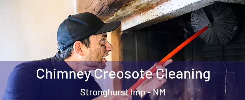 Chimney Creosote Cleaning Stronghurst Imp - NM