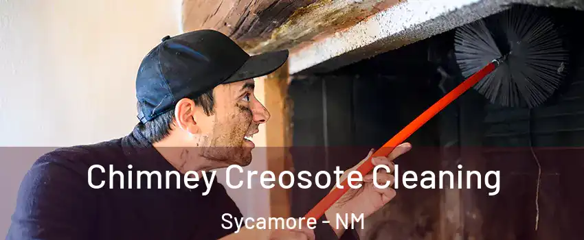 Chimney Creosote Cleaning Sycamore - NM