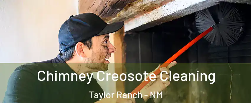 Chimney Creosote Cleaning Taylor Ranch - NM