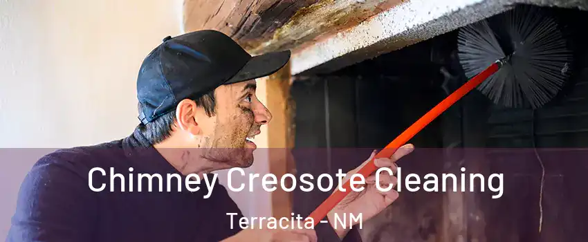 Chimney Creosote Cleaning Terracita - NM