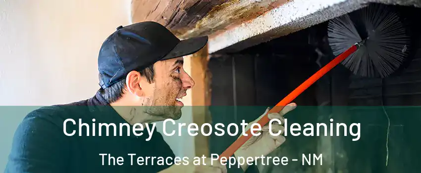 Chimney Creosote Cleaning The Terraces at Peppertree - NM