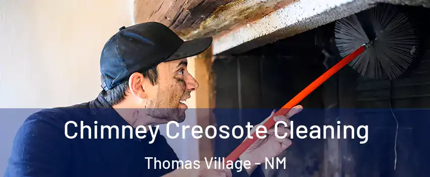 Chimney Creosote Cleaning Thomas Village - NM
