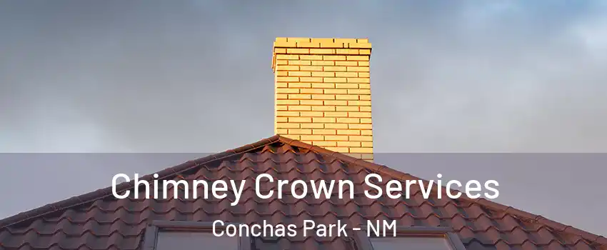 Chimney Crown Services Conchas Park - NM